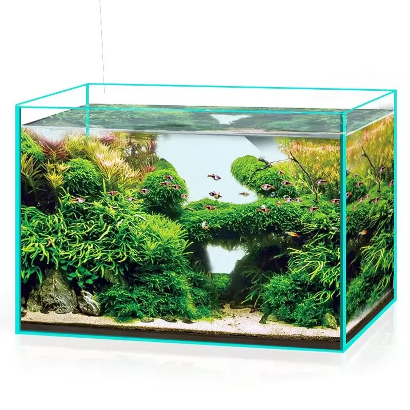 Marine Aquarium In Clearwater - Akwarium ze szkła ultra przezroczystego do