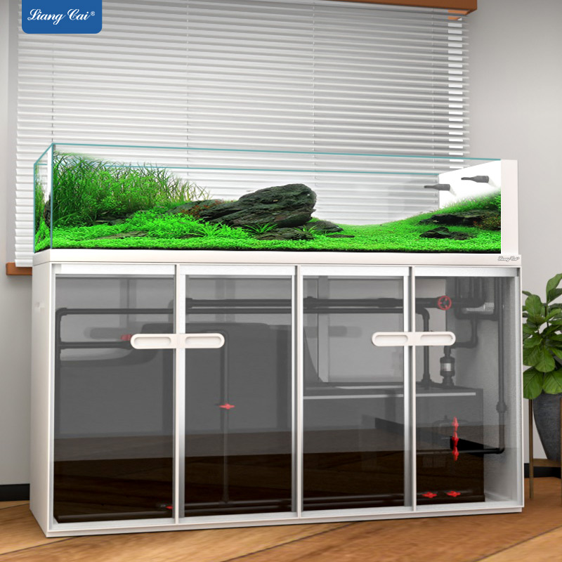 Aquarium Marine Fish For Sale - Duże, nowoczesne akwarium szklane, akwarium typu