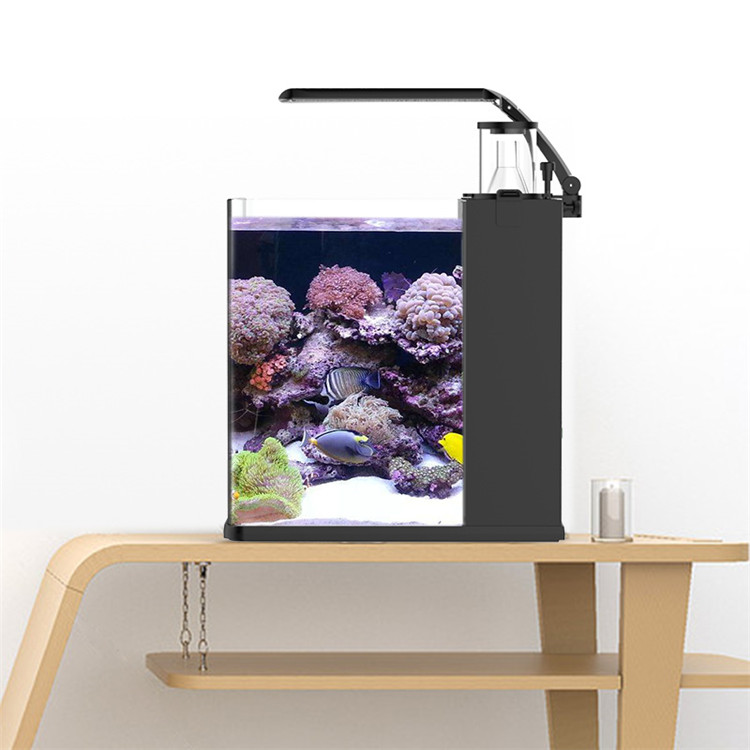 Marine Aquarium In Clearwater - Skynuo Ultra Clear Glass Mini Akwarium