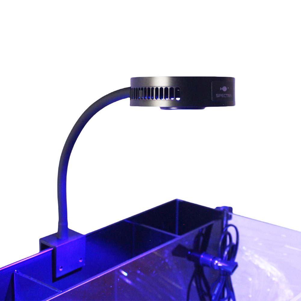Aquarium Marine Fishes - Aquaknight V2 Marine Reef Light 36W