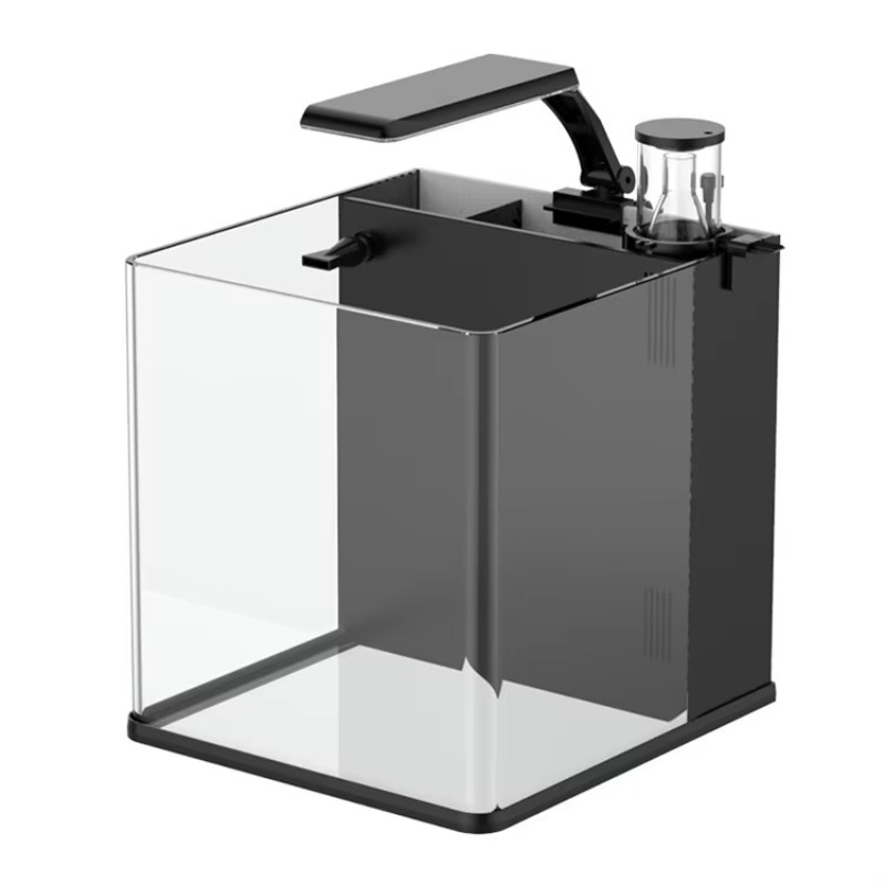 Marine Aquarium In Clearwater - Ultra Przezroczyste Szklane Mini Akwarium Morskie
