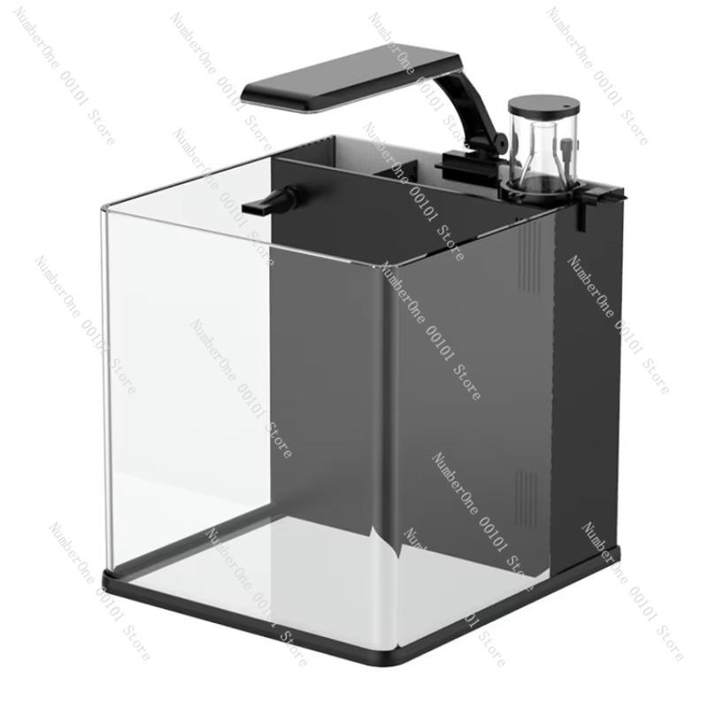 Marine Aquarium In Clearwater - Ultra Przezroczyste Szklane Mini Akwarium Morskie