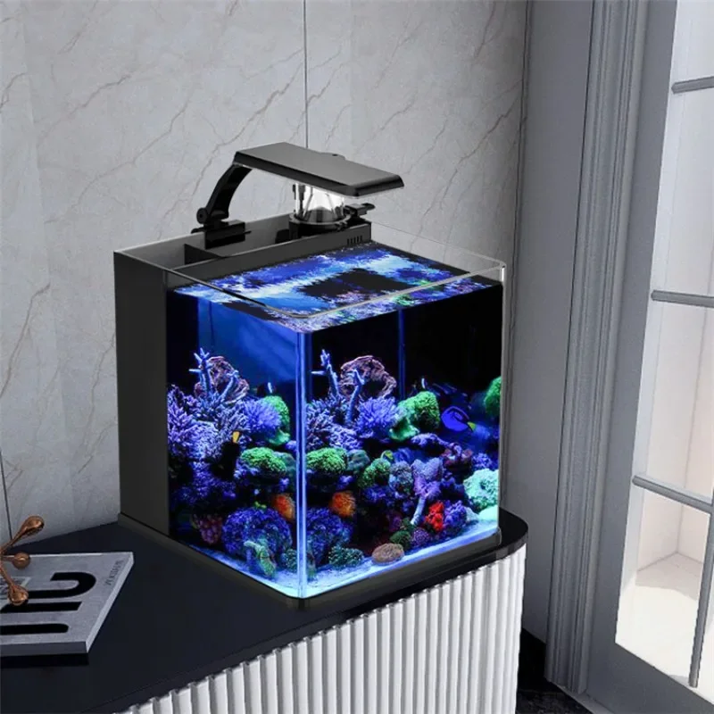 Marine Aquarium In Clearwater - Gorąca wyprzedaż: Ultra Przezroczysty Szklany Mini
