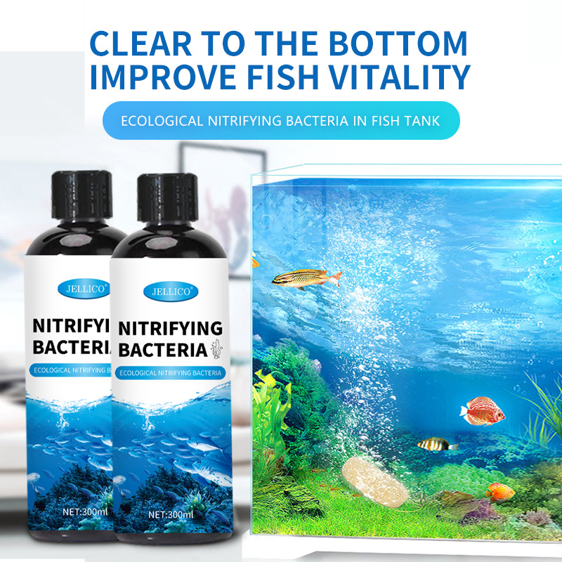 Marine Aquarium In Clearwater - 300ml Bakterie Nitryfikujące do Akwarium -
