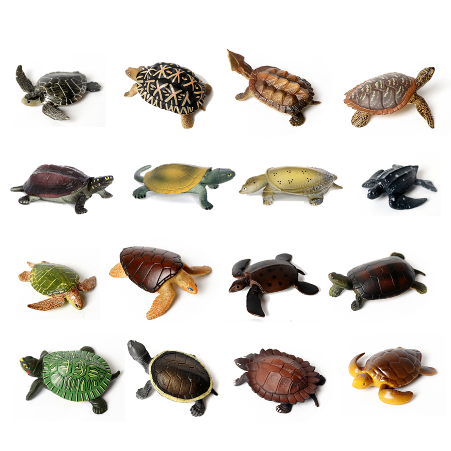 Aquarium Marine Fishes - Realistyczne miniatury życie morskie żółwiem morskim