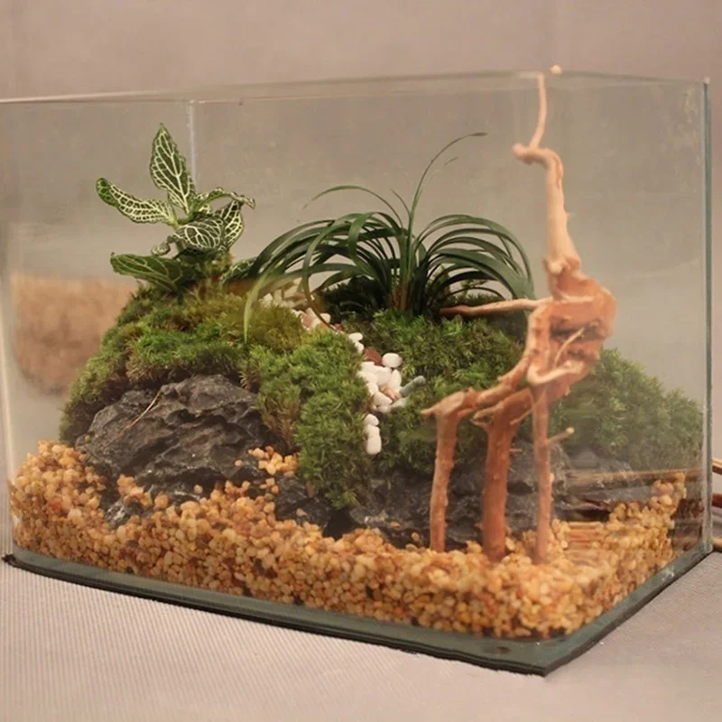 Naturalne drzewo pnia Driftwoo – Marine Aquarium For Sale recenzja i cena