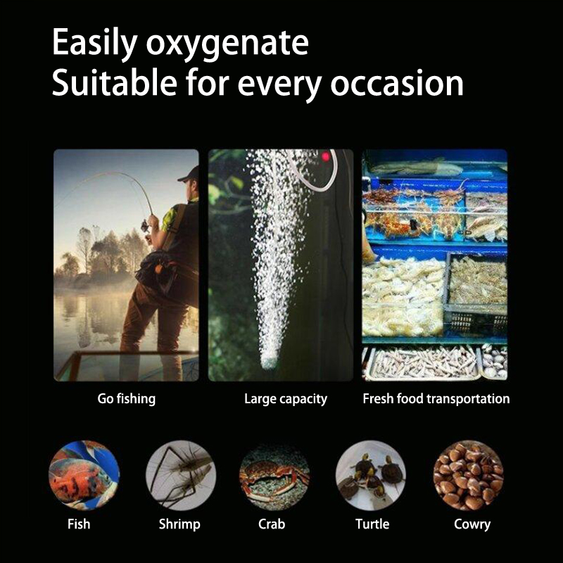 Mini Aquarium Air zestaw pompy – Aquarium Marine Stone recenzja i cena