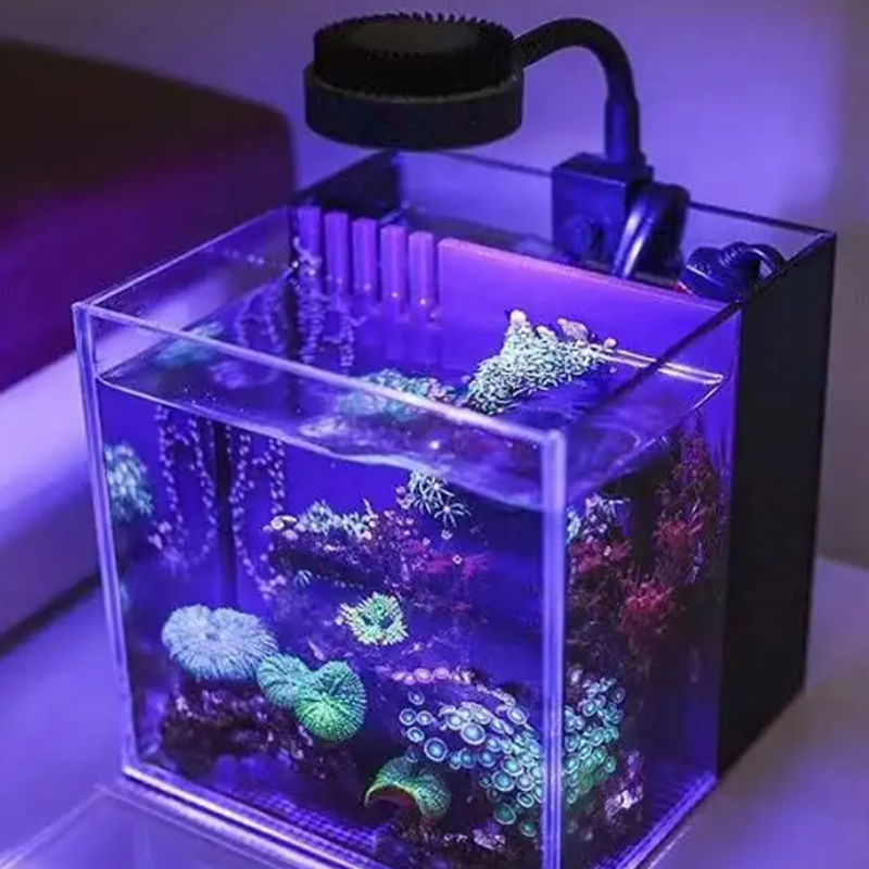 Zetlight Led Light M1 1050 Ful – Aquarium Marine Fishes recenzja i cena
