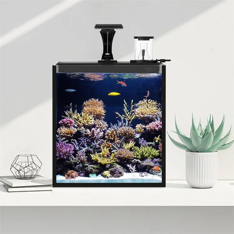 Najnowszy model akwarium morsk – Marine Aquarium In Clearwater recenzja i cena