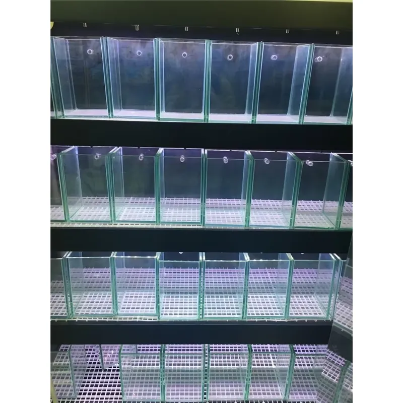 Akwarium ze szkła ultra przezr – Marine Aquarium In Clearwater recenzja i cena