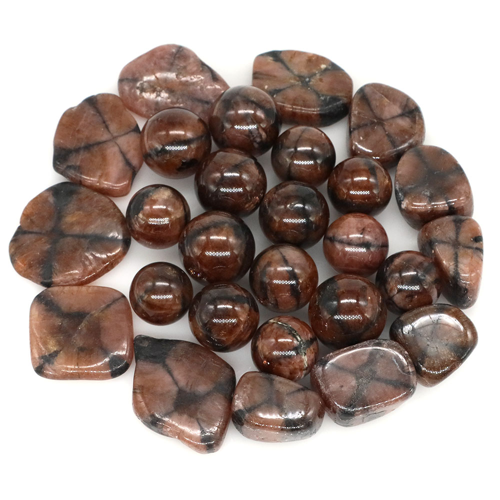 Naturalny krzyż Chiastolite kw – Aquarium Marine Stone recenzja i cena