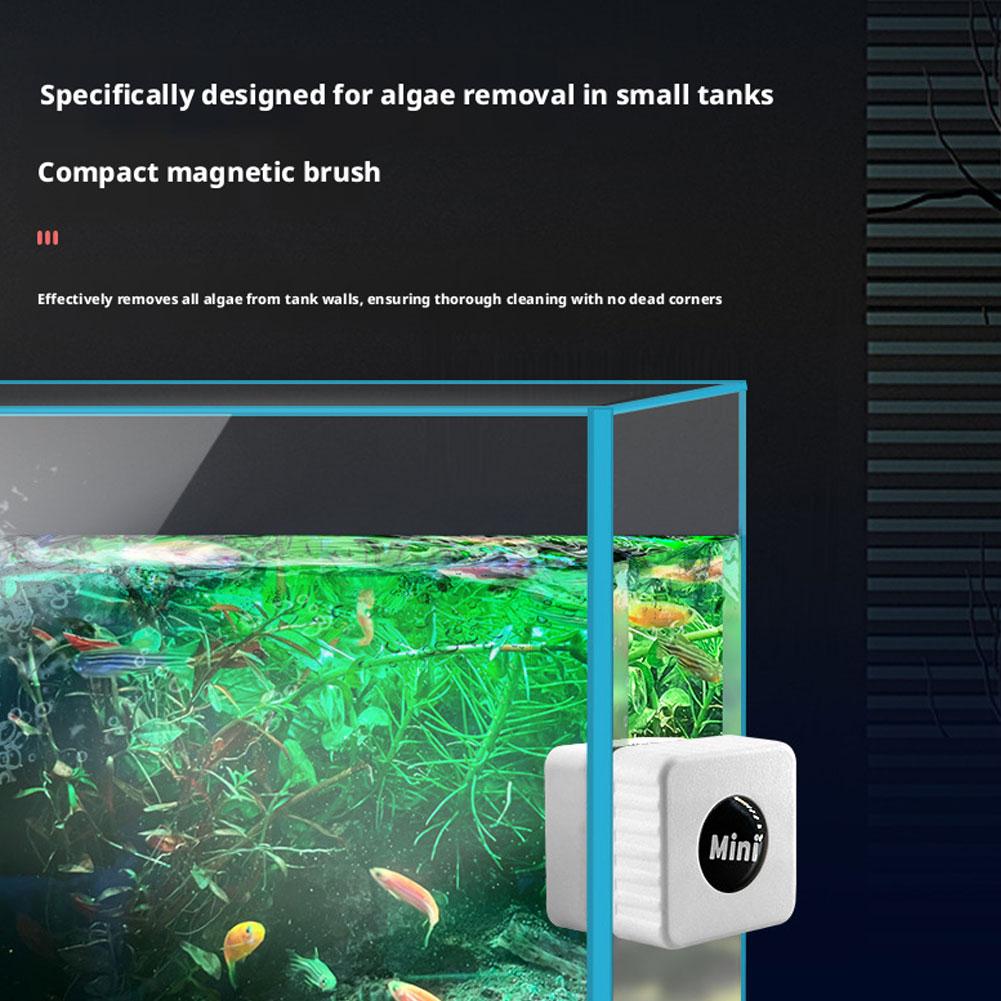 Magnetyczna mini skrobaczka do – Marine Aquarium Glass Scraper recenzja i cena