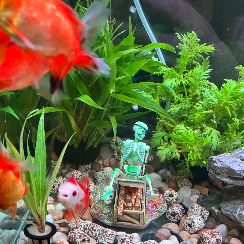 Aerobna dekoracja do akwarium, – Aquarium Innovative Marine recenzja i cena