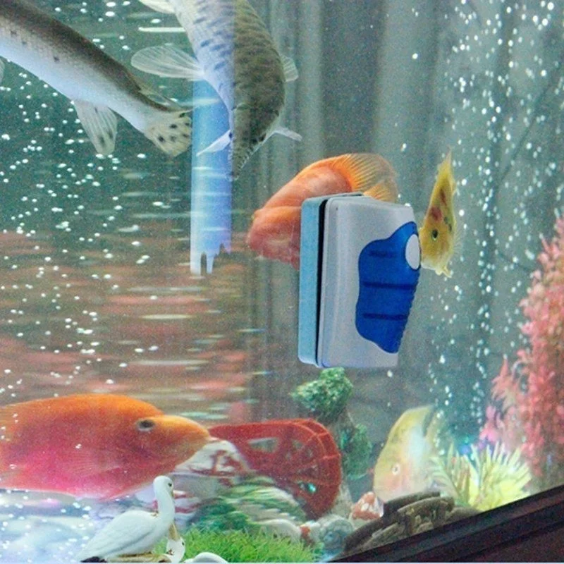 Skrobak do akwarium pływający  – Marine Aquarium Glass Scraper recenzja i cena