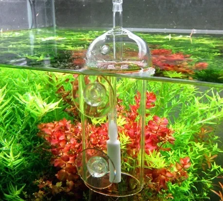 VIV Do urządzenie Cylinder akw – Aquarium Marine Stone recenzja i cena