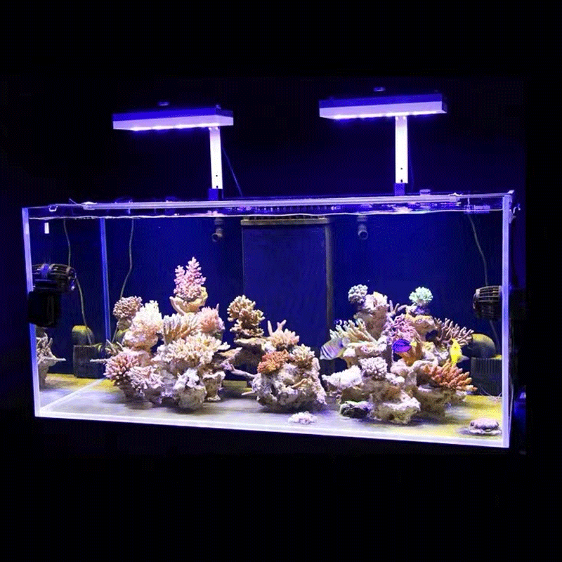 Aqua Illumination AI Hydra 32H – Aquarium Marine Fishes recenzja i cena