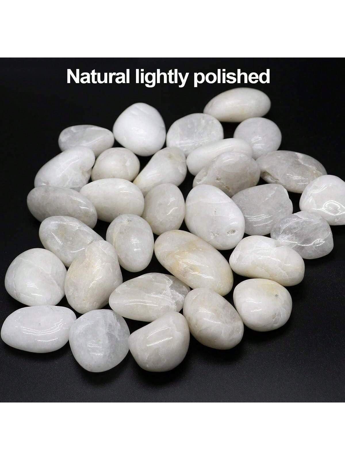 River Rocks Dekoracyjne ozdobn – Aquarium Marine Stone recenzja i cena