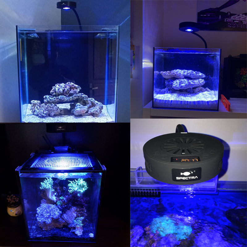 Aquaknight V2 Marine Reef Ligh – Aquarium Marine Fishes recenzja i cena