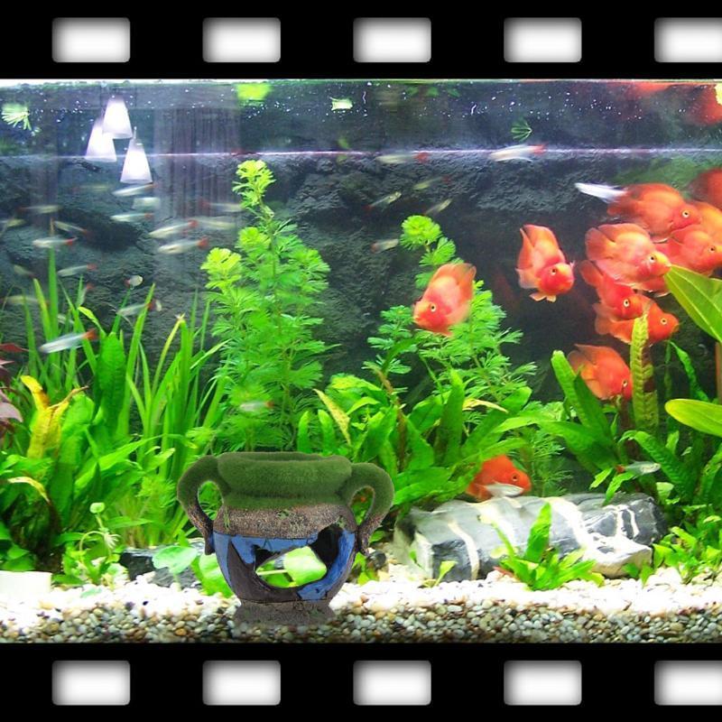 1 szt. Wazon z żywicy z mchu a – Marine Aquarium For Sale recenzja i cena