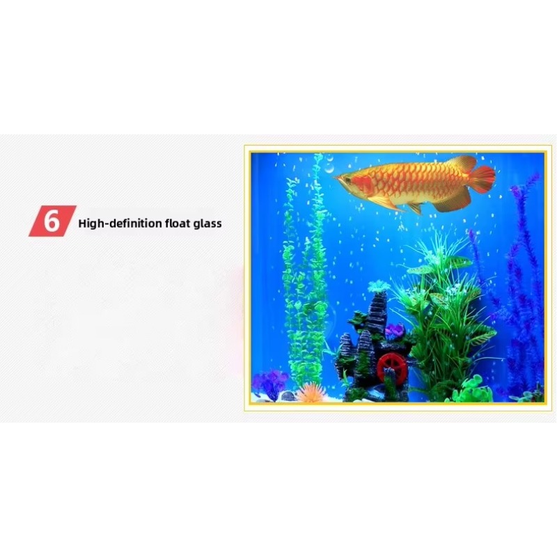 Duże akwarium morskie o pojemn – Aquarium Marine Fish For Sale recenzja i cena