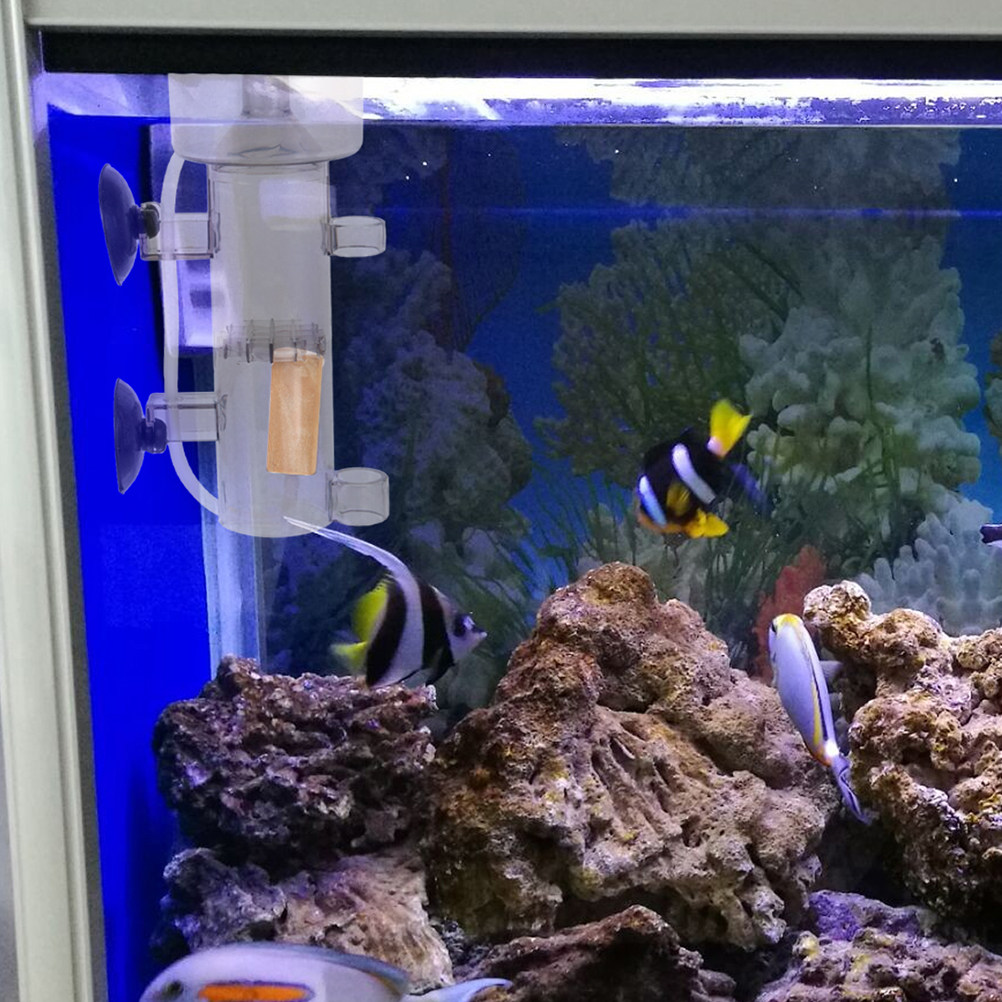 Separator proteinowy wewnętrzn – Aquarium Marine Fishes recenzja i cena