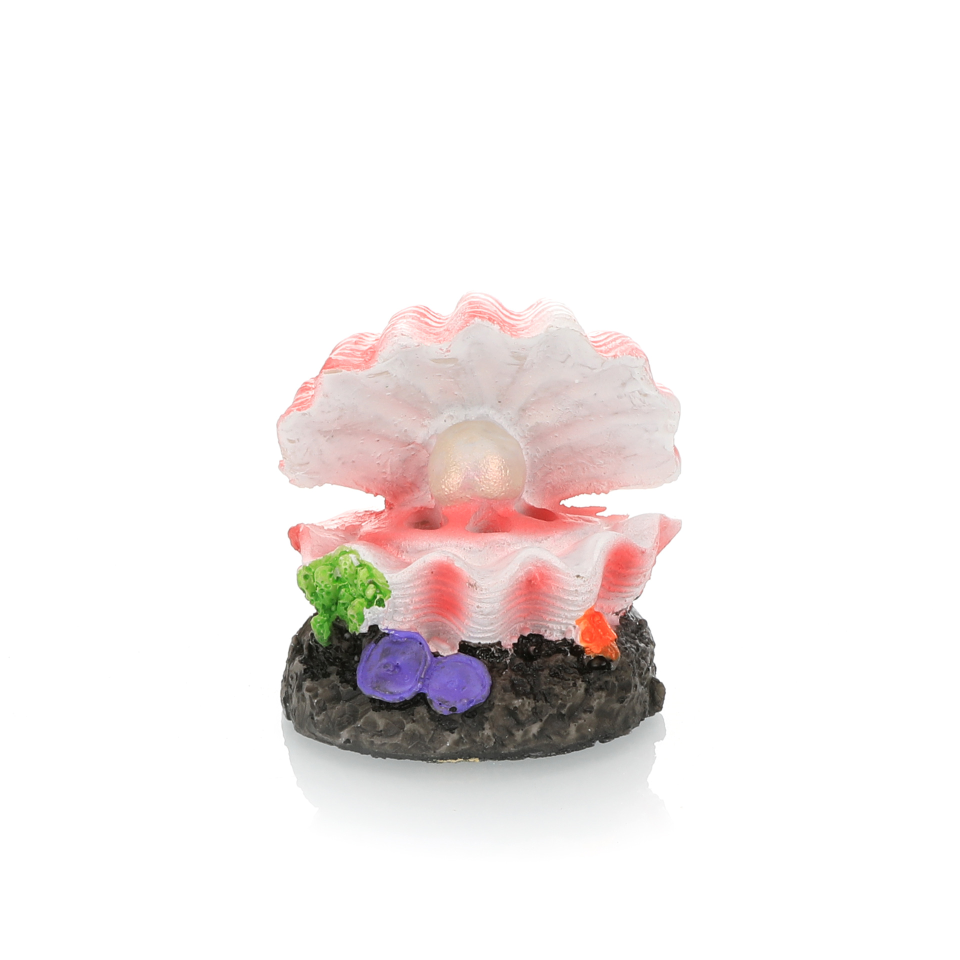 Symulacja krajobrazu akwarium, – Marine Aquarium For Sale recenzja i cena