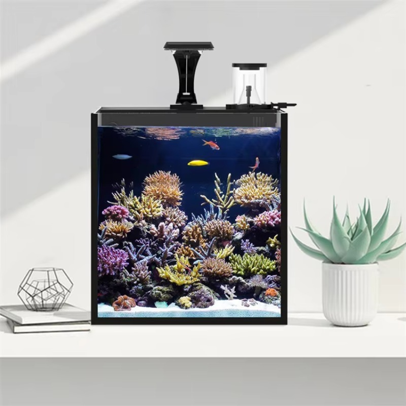 Ultra Clear Glass Mini Salt Wa – Marine Aquarium In Clearwater recenzja i cena