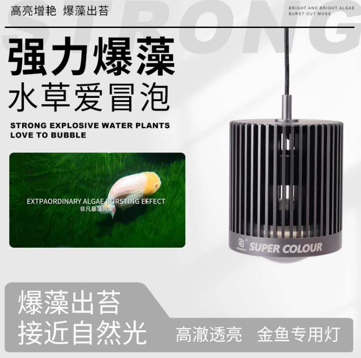 MAYIN LED Super Color 3D gorąc – Aquarium Marine Fish For Sale recenzja i cena
