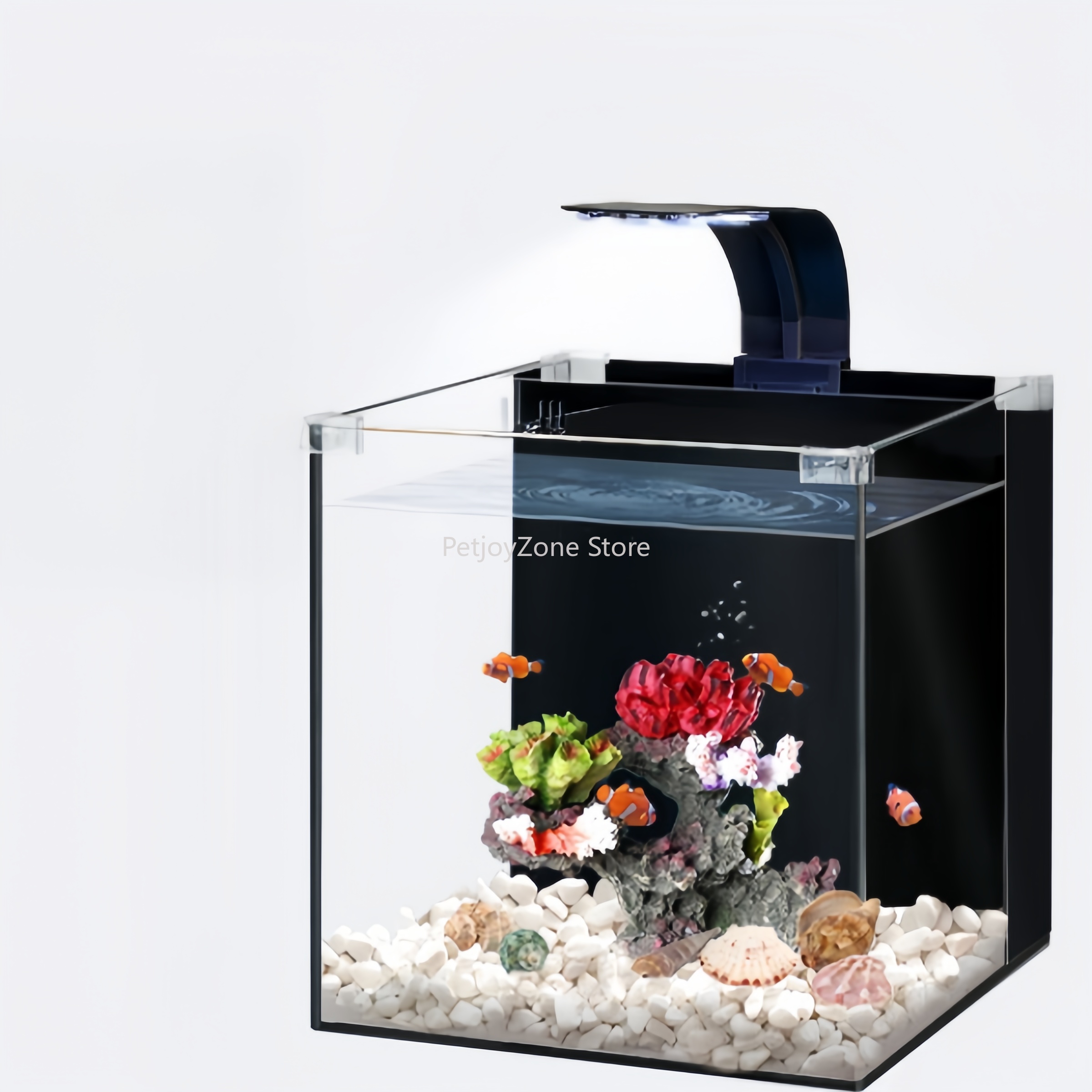 Luksusowe mini akwarium morski – Marine Aquarium In Clearwater recenzja i cena