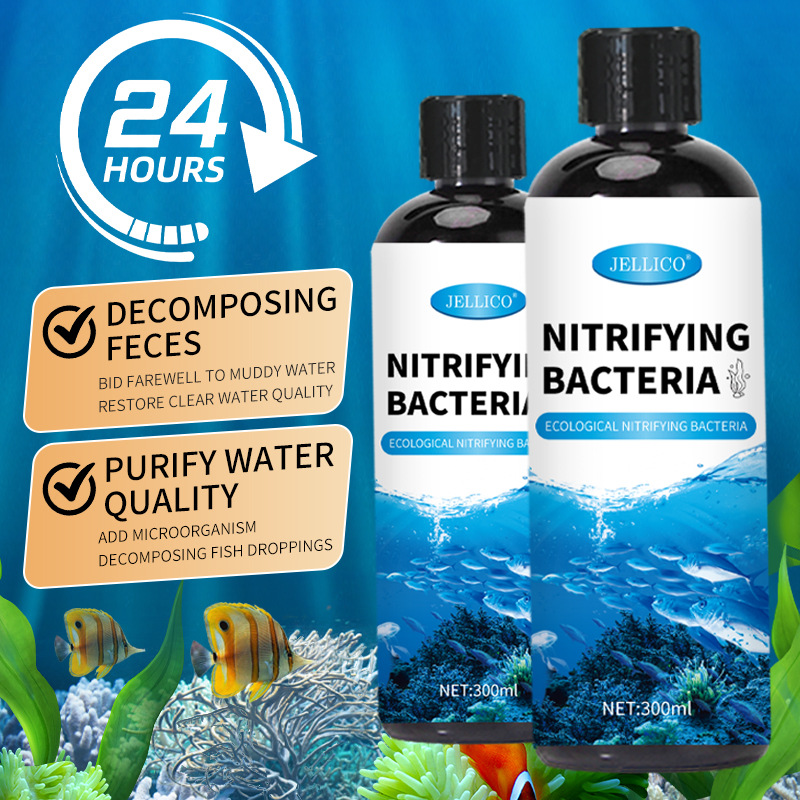 300ml Bakterie Nitryfikujące d – Marine Aquarium In Clearwater recenzja i cena