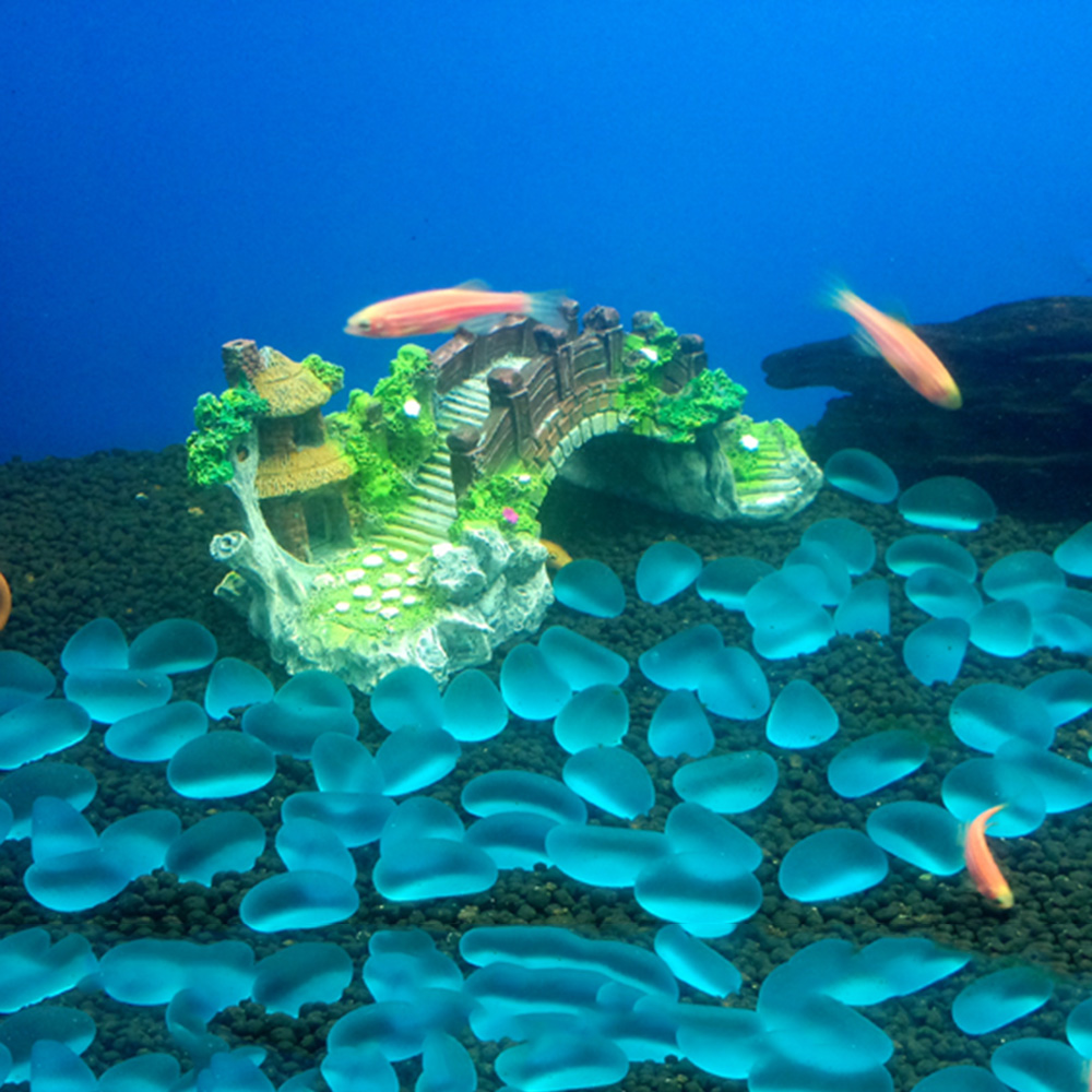 Akcesoria do akwarium Arbor Tr – Marine Aquarium For Sale recenzja i cena