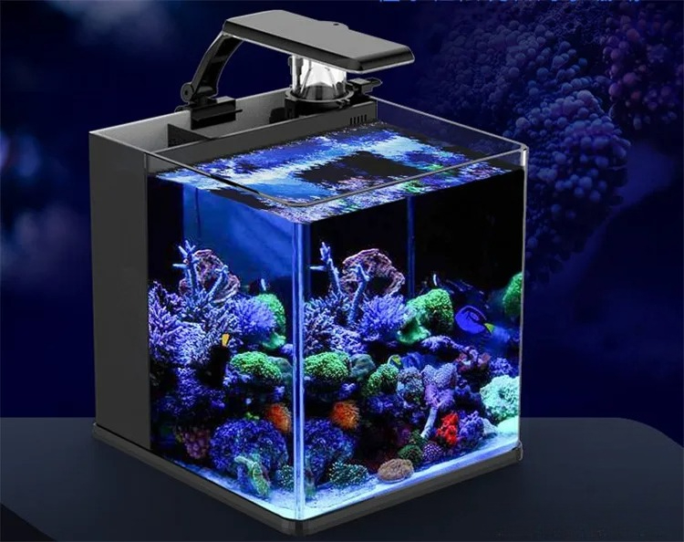 Ultra Przezroczyste Szklane Mi – Marine Aquarium In Clearwater recenzja i cena