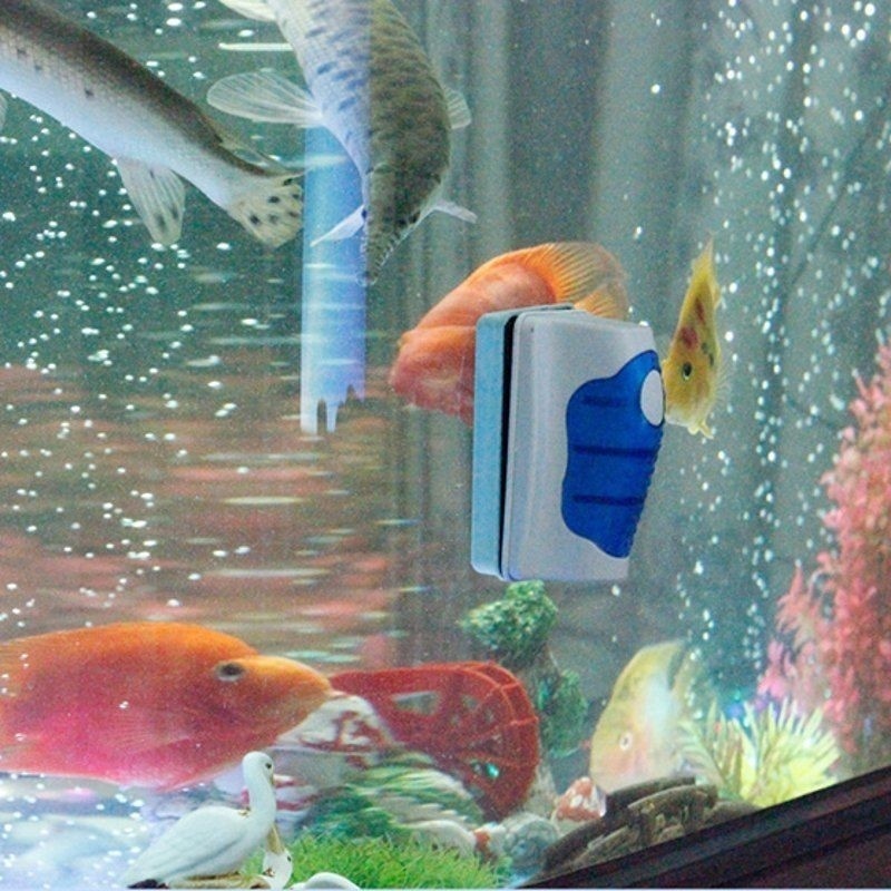 Skrobak do akwarium pływający  – Marine Aquarium Glass Scraper recenzja i cena