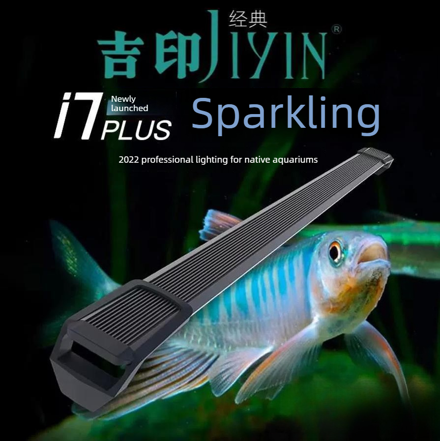 Lampa LED do akwarium z soczew – Marine Aquarium In Clearwater recenzja i cena